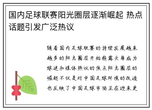 国内足球联赛阳光圈层逐渐崛起 热点话题引发广泛热议